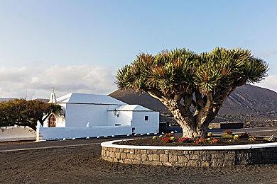 任天堂Switch 2首轮中签者申购手续已经开启 必要周边数量有限